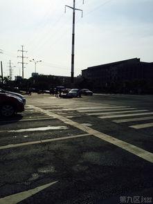 嘉兴第九区爆料事件最新,揭秘背后真相与争议焦点