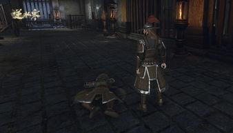 逆水寒最新288爆料