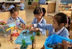 珠海幼儿园爆料事件最新,惊人内幕揭露幼儿教育乱象